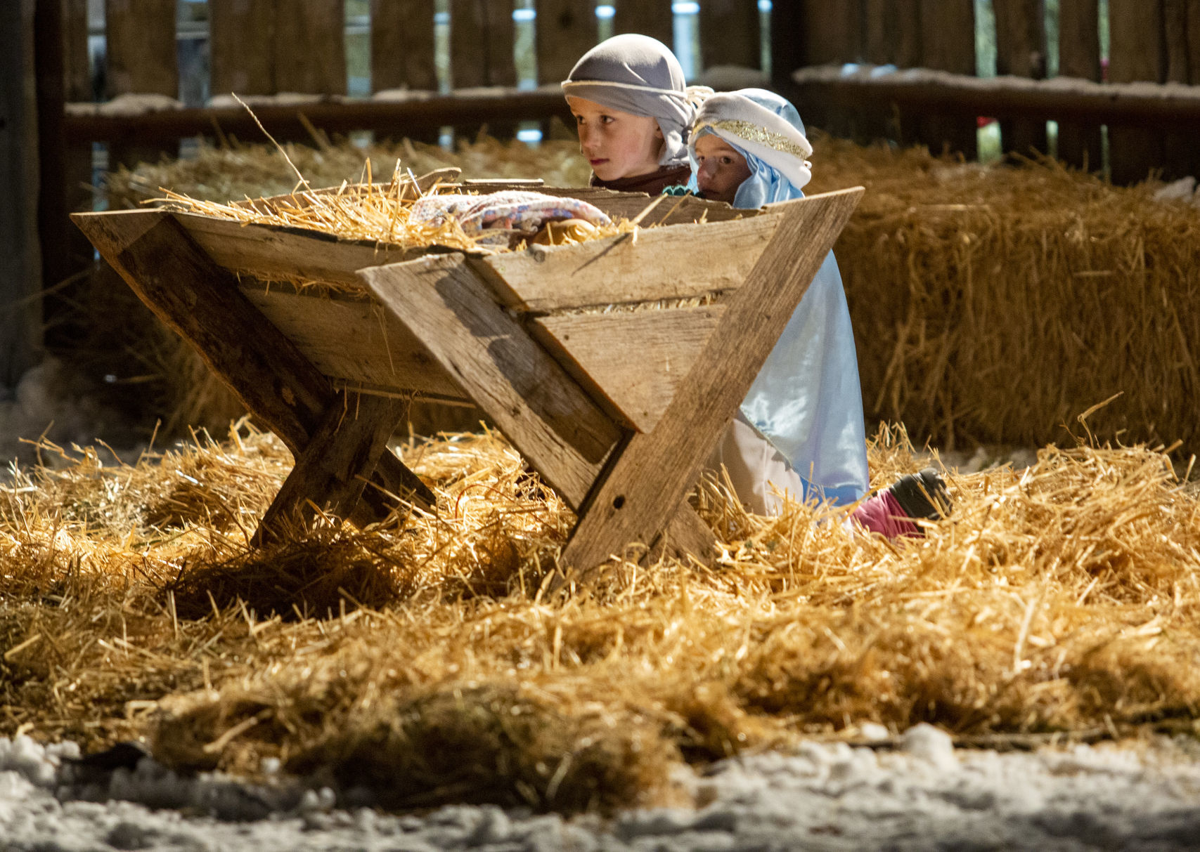 Albion live nativity